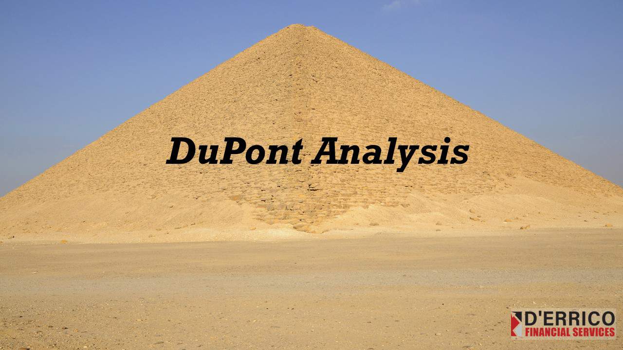 DuPont Analysis Model